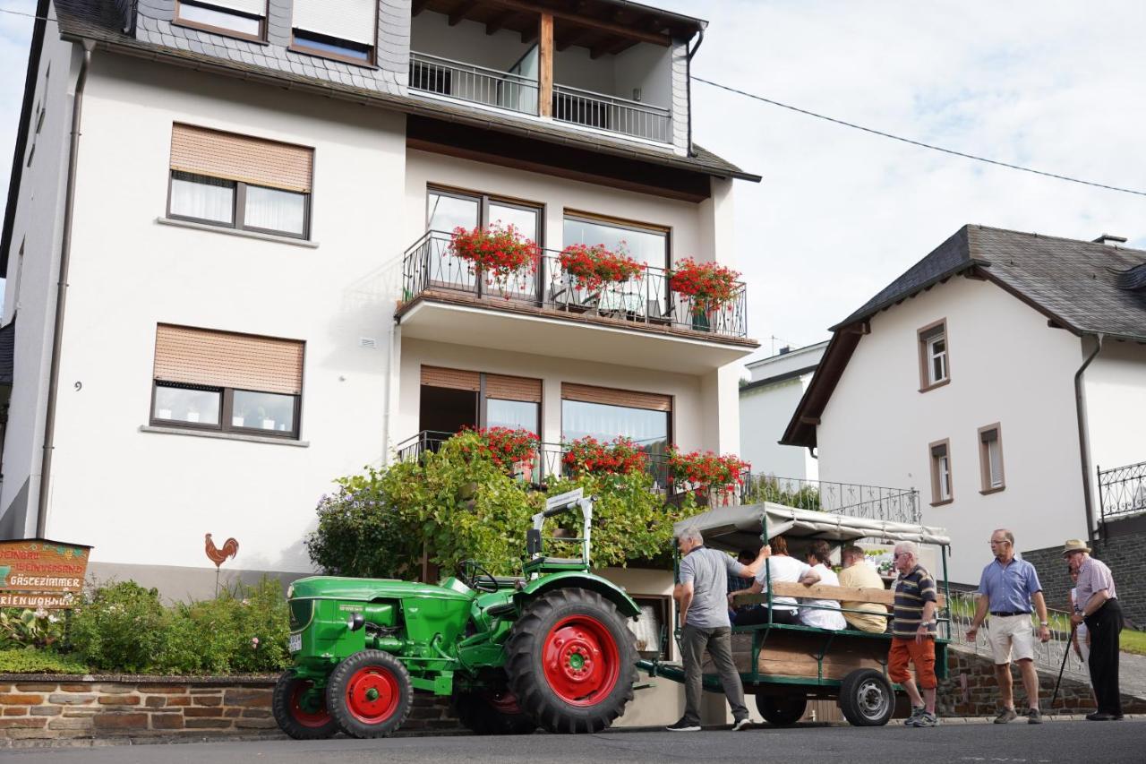 Ferienweingut Hirschen Schulstrasse Bed & Breakfast Burg  Exterior foto