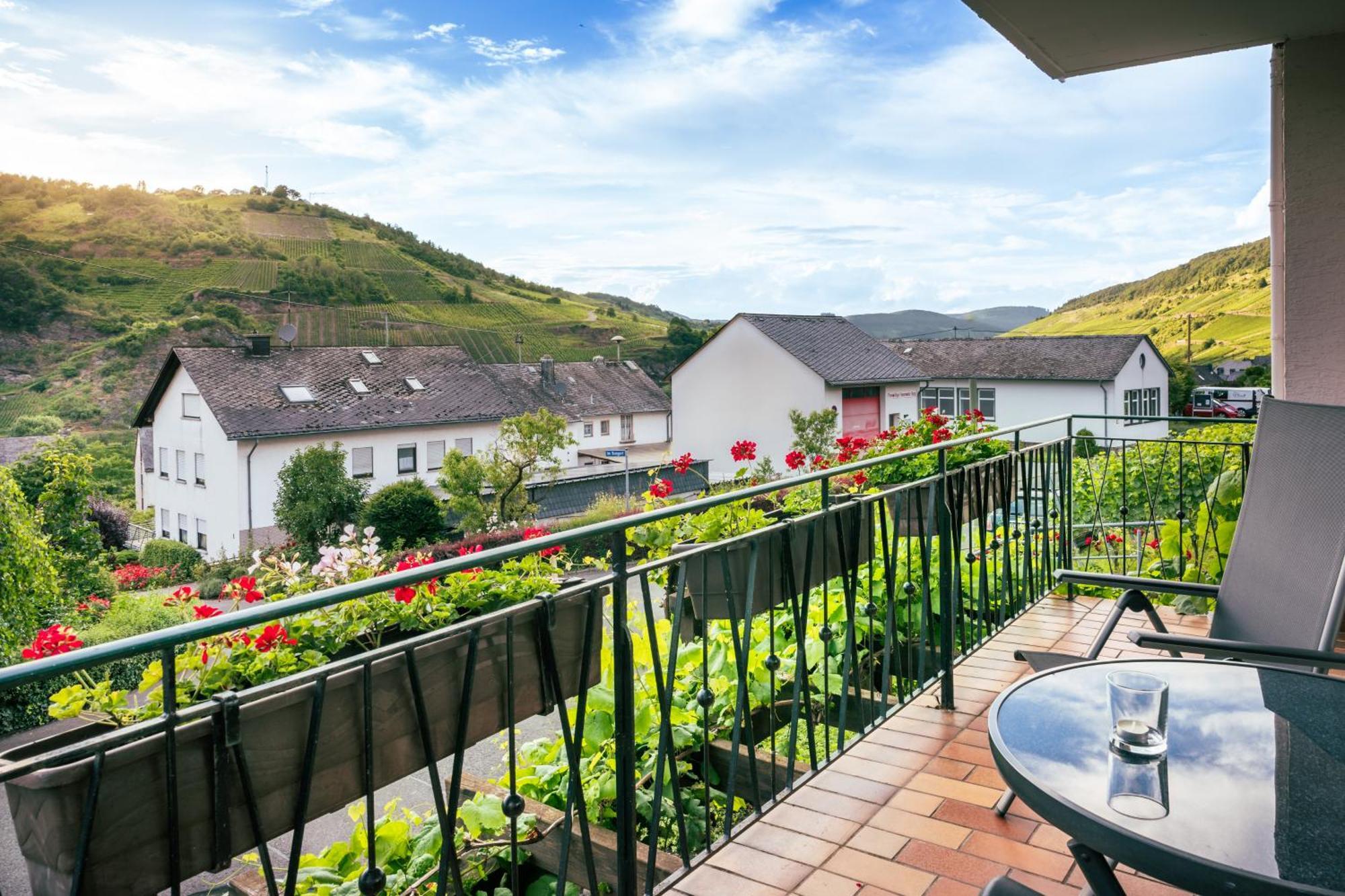 Ferienweingut Hirschen Schulstrasse Bed & Breakfast Burg  Exterior foto