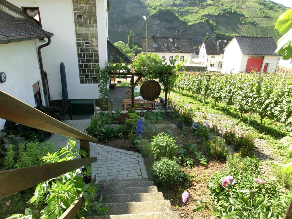 Ferienweingut Hirschen Schulstrasse Bed & Breakfast Burg  Exterior foto