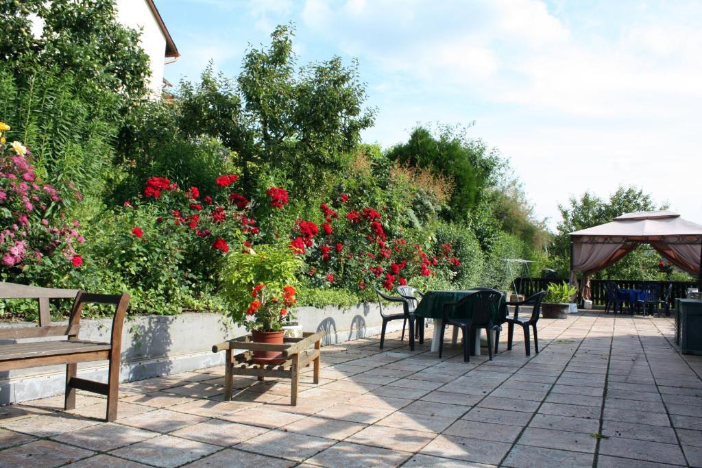 Ferienweingut Hirschen Schulstrasse Bed & Breakfast Burg  Exterior foto