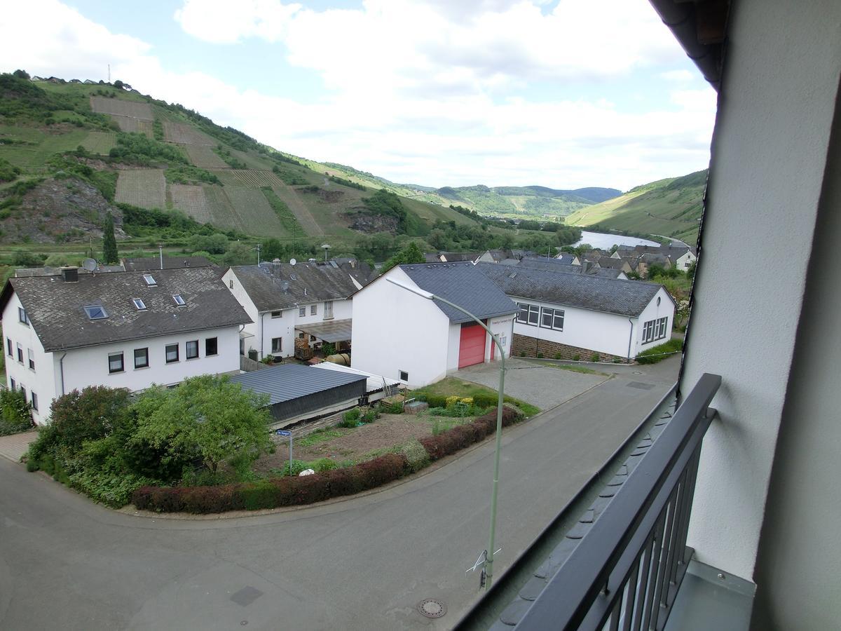 Ferienweingut Hirschen Schulstrasse Bed & Breakfast Burg  Exterior foto