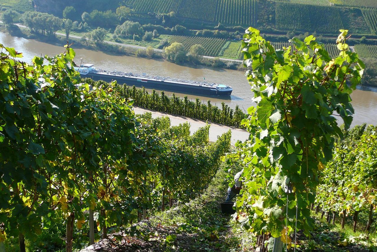 Ferienweingut Hirschen Schulstrasse Bed & Breakfast Burg  Exterior foto